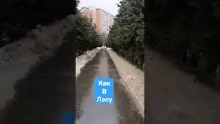 Москва зима 2023