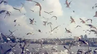 sitem - yeni türkü