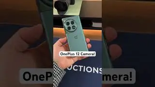 OnePlus 12 Camera! 