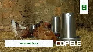 Tolvas metálicas para gallinas | Copele