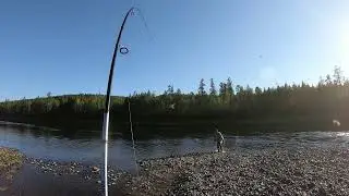 Охота и рыбалка в Эвенкии!!! Таймень!!!