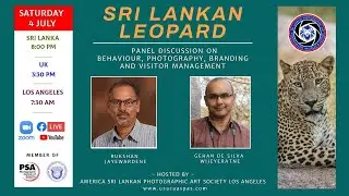 Sri Lankan Leopard