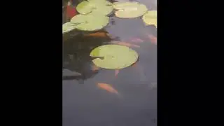 В Крайот Парк Цабар