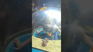 сестрички и рыбки #сестренки