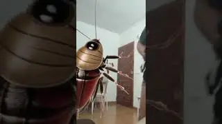 Broma a mi madre con una cucaracha