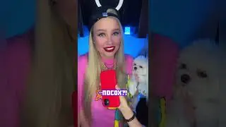 Загадка
