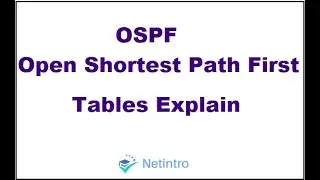OSPF Tables Explain | Neighbor Table | Topology Table | Routing Table