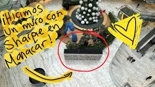 Convivencia y muro de Dodos con Sharpie y Manacar