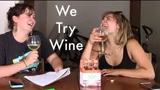 WE TRY WINE (BAD IDEA!!) | Micah Gebel