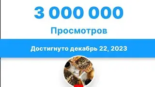 Mehnat beshbarmaq №1 MAROKASLIK BLOGGER #2024 #бешбармак #food #mexnat