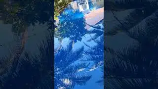Обожаю это место.