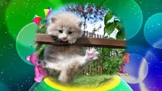 "Кот Васька" музыка и слова Т. Н. Новоселовой (@a_klavesin )