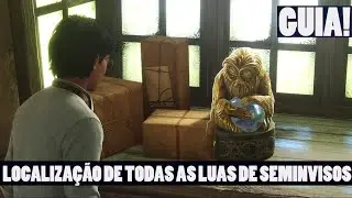 TODAS AS 30 LUAS DE SEMINVISOS EM HOGWARTS LEGACY - GUIA DEFINITIVO