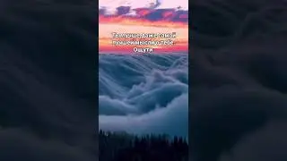Факт! #изобилие #luxurylife #исполнениежеланий #motivation #любовь #цитаты #богатаяжизнь #силамысли