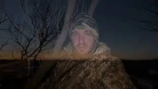 Texas Deer and Hog hunt #texas #texashunting #hog #hoghunting #deerhunting #deerhunt #deer