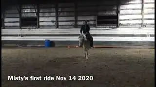 Misty’s first ride (nov 2020)