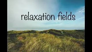 VIEWS OF ART FIELDS AND UPBEAT MUSIC