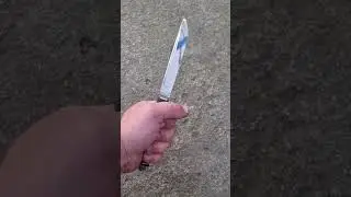 23 октября 2023 г.