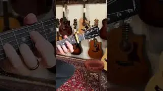 Thermo-Cured Acoustic! - Eastman E10SS