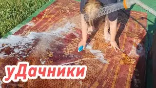 Поставили бассейн/Постирали ковёр/Жара