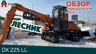 Лесник DOOSAN DX225LL Обзор перегружателя леса с бревнозахватом