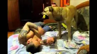 We're animals