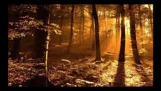 ZAYN ‒ Dusk Till Dawn ft  Sia [Zaunos Remastered]