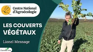 Couverts végétaux : un levier pour gagner de l’argent ! Lionel Mesnage - Webinaire CNA