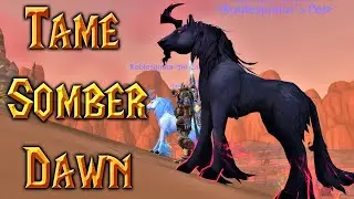 How To Tame Somber Dawn - Rare Elite Pet - Patch 8.3 August 2020 | World of Warcraft