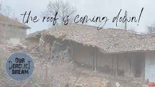 Timber! The roof has to come down..renovating a derelict property in Bulgaria