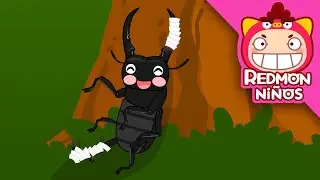¡Salvar al escarabajo ciervo! | Equipo de rescate de insectos | redmon Español | REDMON NiÑOS