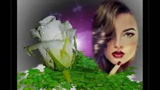 Gavril Puscas - Adio draga mea