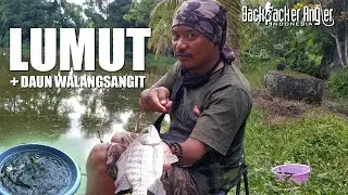 Lumut + Daun Walang Sangit...Ajiiebbb Luurr !!!