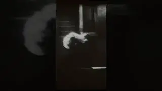 Psycho 16mm film with