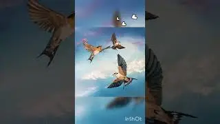 Улетай на крыльях ветра - Е. Сотникова