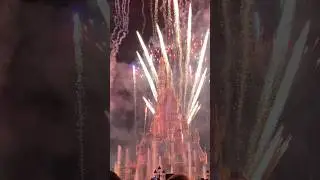 Disneyland Fireworks experience | #disneyland #fireworks #travel #footprints #shortvideo