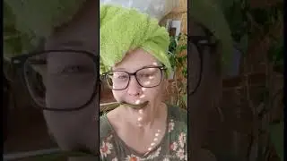 Золотой ус можно и без настойки