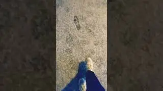 Остановиться, оглянуться...