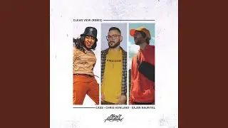 Clear View (Remix)