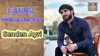Cavid Memmedov-Senden Ayri 2024 Trend