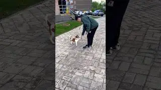 Пятюня ✋/ч.2