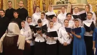 Тайна преславна ныне нам явися