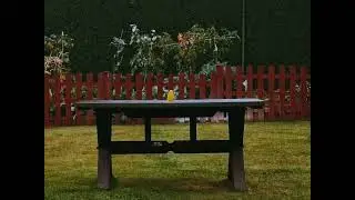 the yellow dog toy is alone on the middle of the table and it's raining