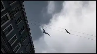 Здравствуй и прощай.