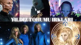 YILDIZ TOHUMLARI 