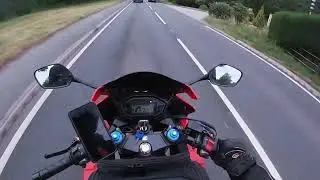 Road rage with a pigeon