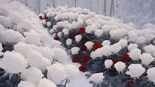 ❄