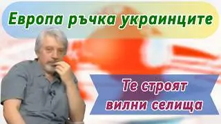 Професор Николай Витанов: Европа ръчка украинците, а те строят вилни селища