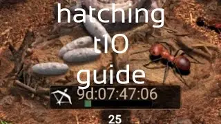 The Ants: Underground Kingdom: most efficient way to hatch t10