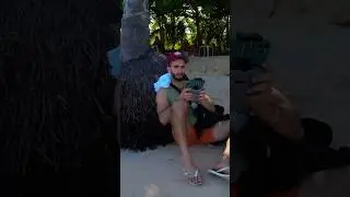 Praia dos Coqueiros 🌴 Trancoso - Uma das mais bonitas da Bahia 🇧🇷